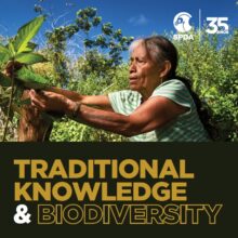 Traditional knowledge and biodiversity